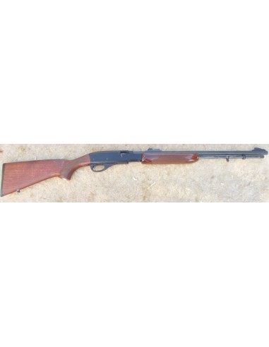 Carabine A Pompe Remington Fieldmaster