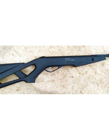 CARABINE A AIR COMPRIME GAMO WHISPER IGT.